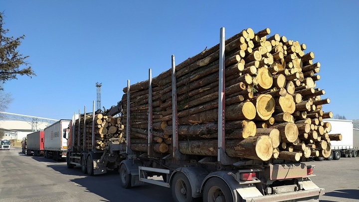 Военкор Поддубный: Бесконечно можно смотреть на то, как поляки возят в грязи киевский режим
