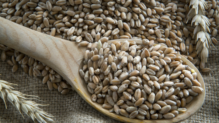 Европейская зрада. Венгрия отказалась снимать запрет на ввоз украинского зерна