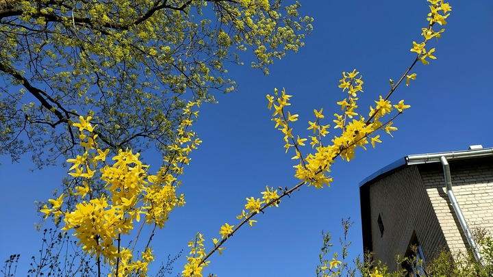 На выходных в Пермский край придет резкое похолодание