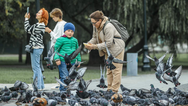 Благовещение 7 апреля: нельзя стричь, красить и просто расчёсывать волосы