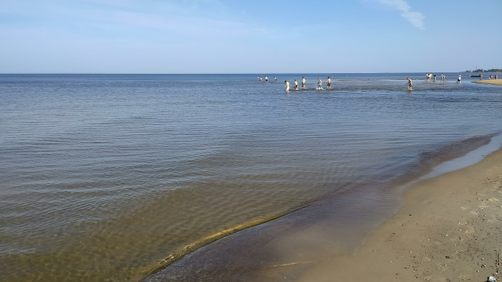 Учёные изучают последствия выбросов мазута на Азовском побережье