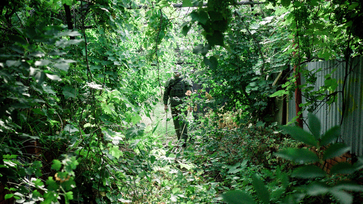 Житель Кубани вовремя прогулки по лесу нашёл яму со 130 боеприпасами ВОВ