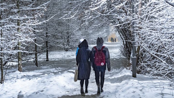 Синоптик Тишковец рассказал, какая будет зима 2023-2024 в центральной России