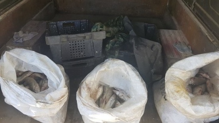 В Таганрогском заливе силовики задержали двух браконьеров с мешками рыбы