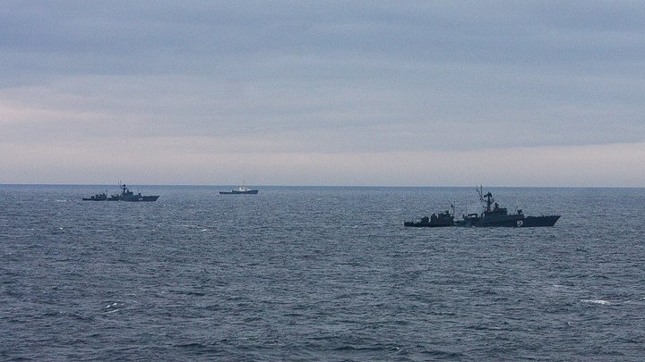 Навальнята* попытались раскачать ядерную лодку и сами пошли ко дну: Русские ответили фактами