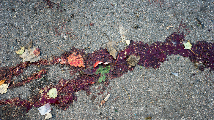 «Она просто обожала жизнь!»: что известно о юной пермячке, погибшей под колесами пьяного водителя