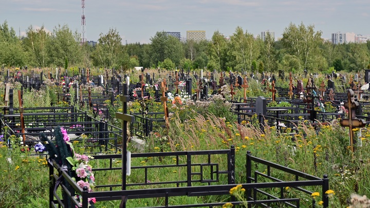 4 нижегородских кладбища планируют расширить