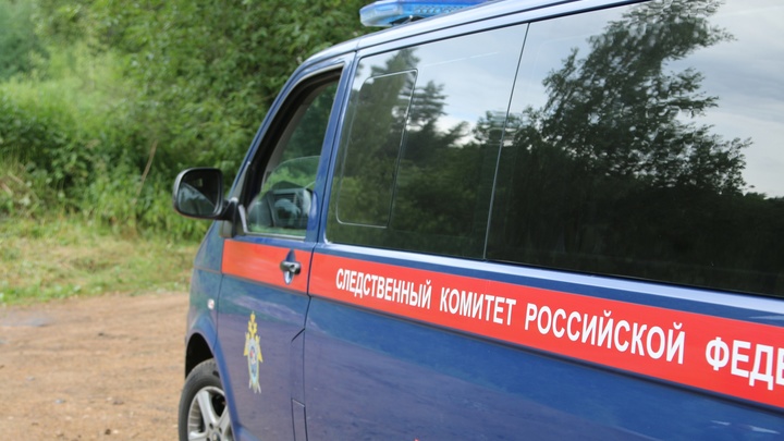 Ходившим по городу с пистолетом ТТ ивановцем занялись следком и прокуратура