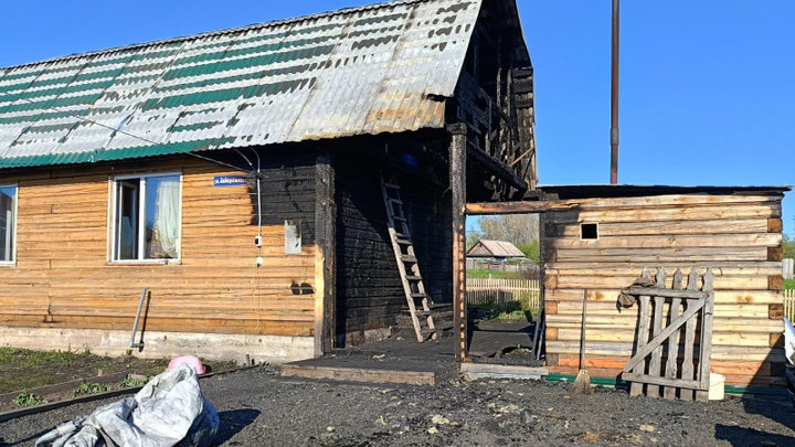 Житель Кузбасса поджег дом соседей и украл алабая со щенками