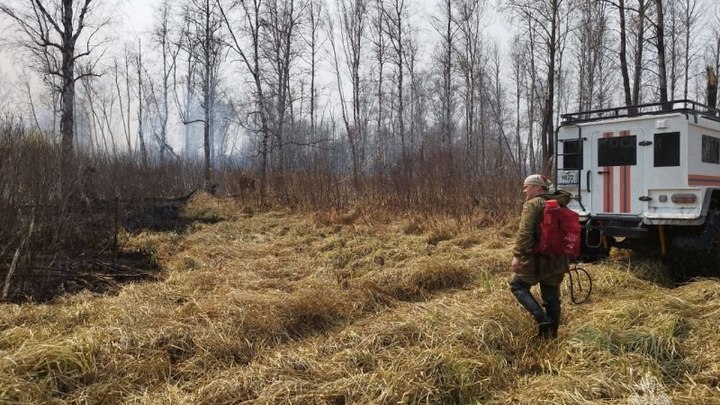 В Новосибирской области обсуждают запрет весенней охоты из-за пожаров
