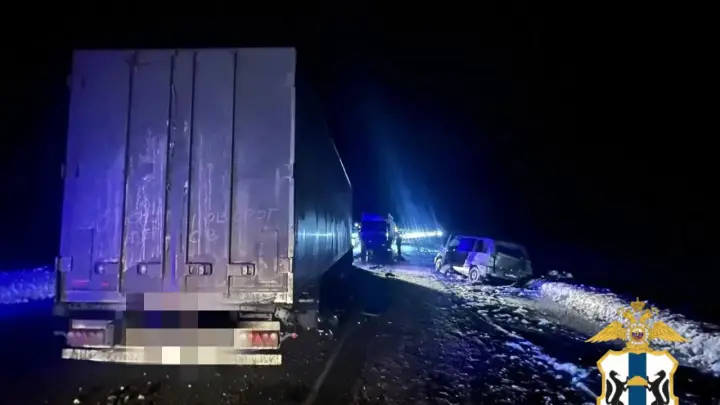 Пять человек погибли: микроавтобус Мерседес столкнулся на встречке с грузовиком