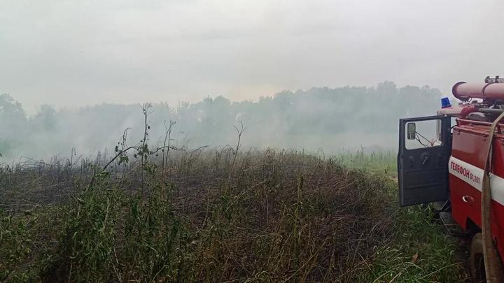 В Краснодаре на Гидрострое потушили пожар в лесопарке