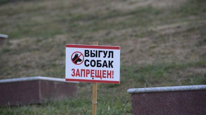 В Сочи районе Воинского мемориала появилось специальное место для выгула собак