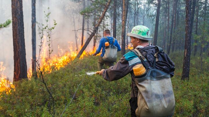 Уаз в свердловской области