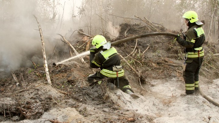 Лесной пожар расползается по Геленджику. Полыхают 15 гектаров