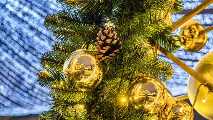 В Новороссийске к Новому году установили авторские ёлки из винных бутылок и балалаек