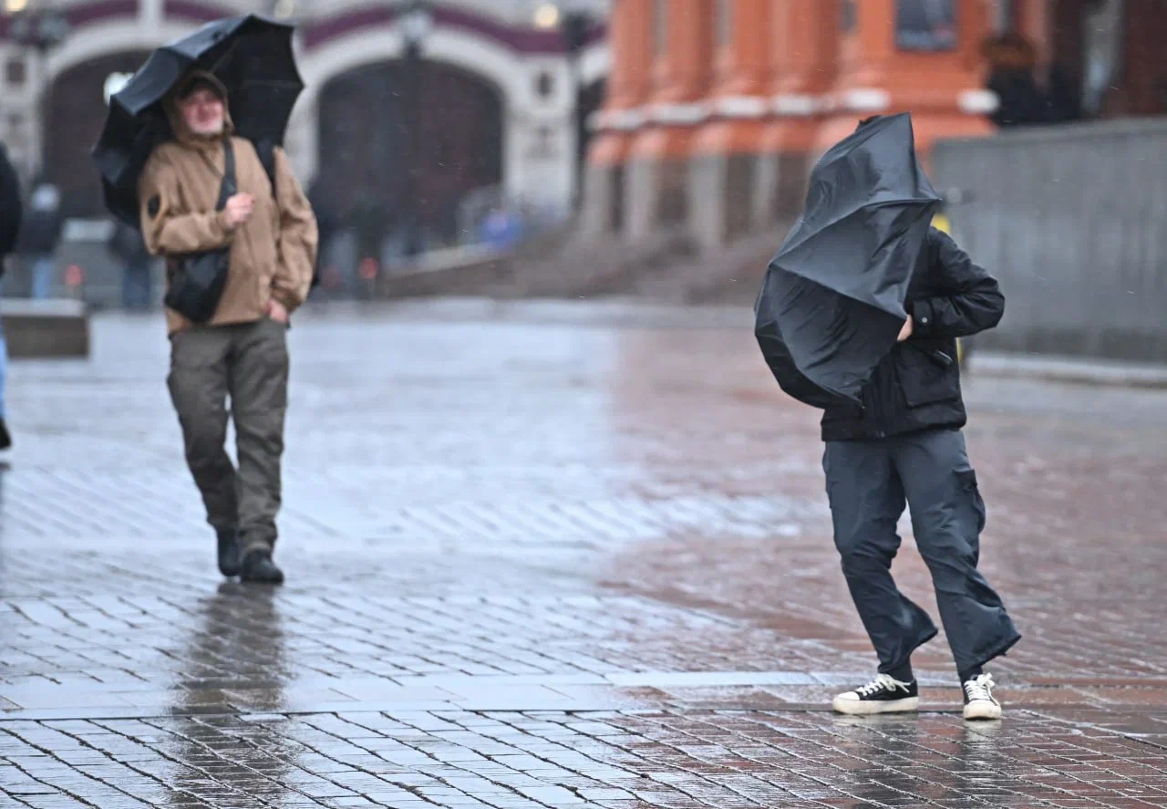 Гроза, град и порывы ветра до 25 метров в секунду ожидаются в Москве в пятницу