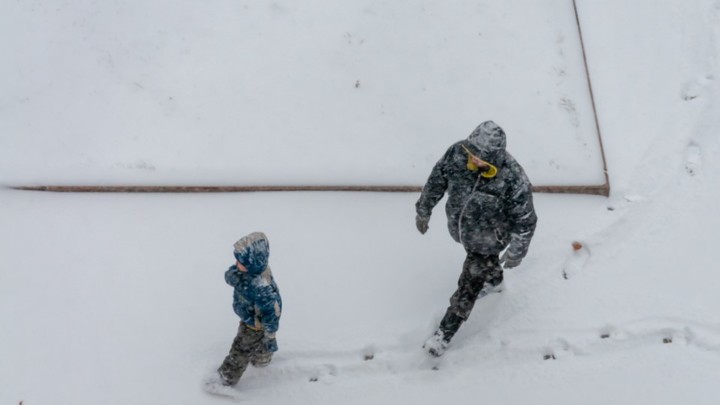 Немцы бегут в Россию: Многодетная семья спаслась от ювенальной полиции в нашей стране