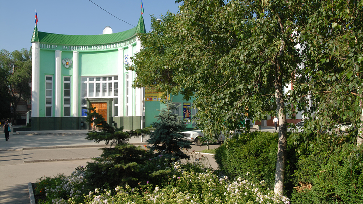 В Черкесске Суворова обвинили в геноциде и сняли плакат полководца