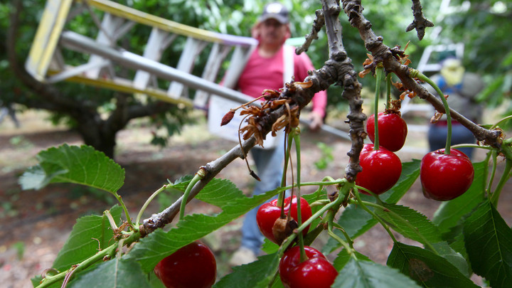 Европейская мечта украинцев разбилась о труд: Юрий Кот подсказал, как быть