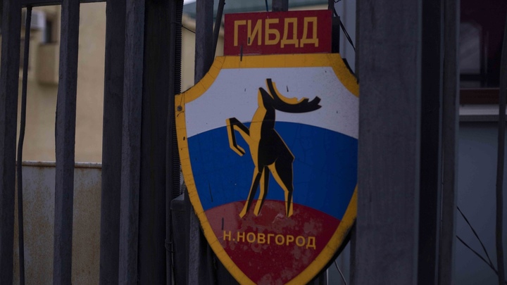 В Нижегородской области водитель Субару сбил лося