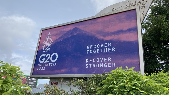 Путин не станет принимать участие в cаммите G20