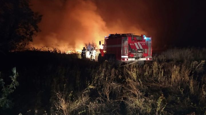 В Ростовской области ликвидирован крупный пожар: выгорело 100 га земли