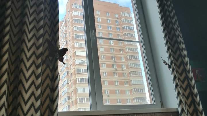 В Челябинске резко подорожали квартиры