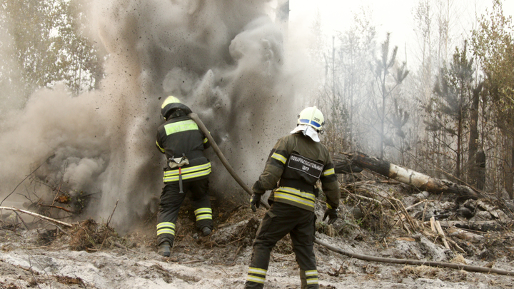 Губернатор запретил жарить шашлыки и сжигать мусор в Свердловской области с 15 апреля