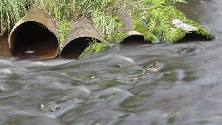 Сочинский водоканал заплатит 2,3 млн рублей за вред, нанесенный акватории Черного моря