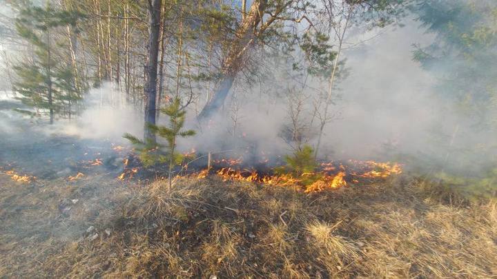 В Свердловской области природные пожары бушуют на 145 гектарах