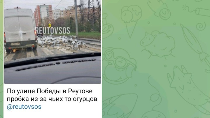 120 метров дороги в Реутове завалило солёными огурцами