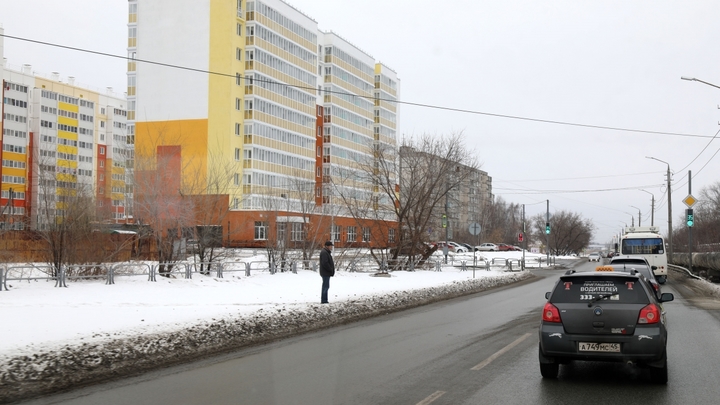 В Кургане власти высадят деревья на проспекте Маршала Голикова в Заозёрном