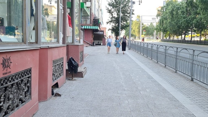 Стая крыс поселилась рядом с детским садом № 262 в Новосибирске