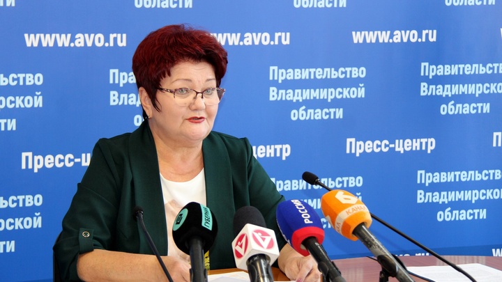Во Владимирской области за 3 дня до начала учебного года не хватает 100 учителей