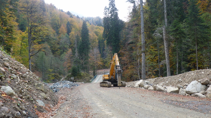 Экологи направили жалобу в Генпрокуратуру РФ по поводу строительства дороги в Сочинском нацпарке