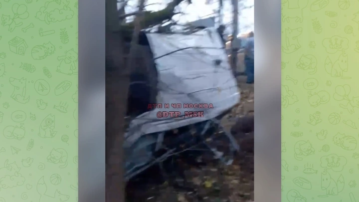 Выживших нет: автомобиль застрял между деревьями в Москве