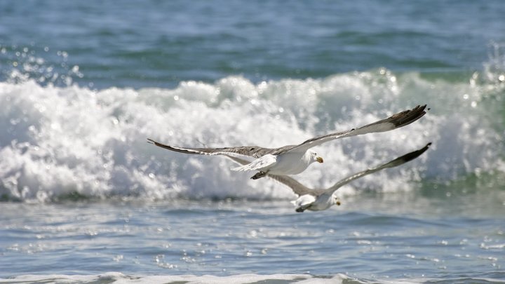 Экстремальных наводнений не избежать: Учёные представили отчёт об океанах планеты