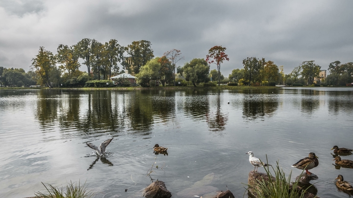 Две сестры 12 и 14 лет утонули в Петергофе