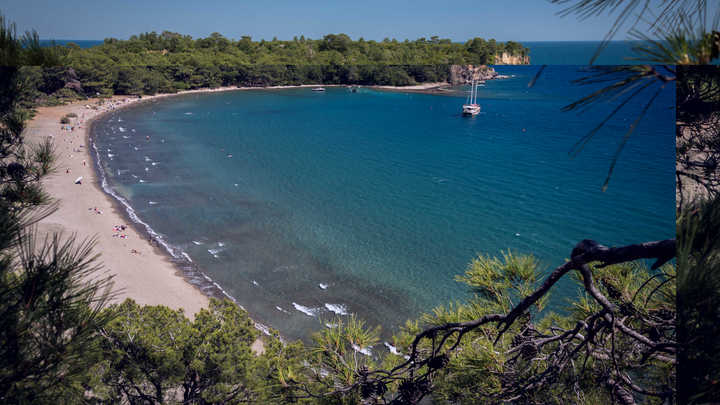 Туристам рассказали, как получить паспорт о вакцинации на английском