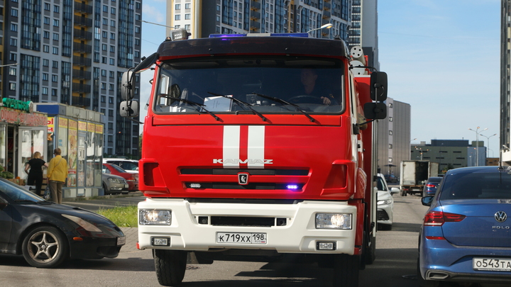 Пензенские спасатели обучат запорожских коллег