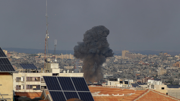 Война всех против всех: Чёрный лебедь, которого ждали, - случился, заявил Мардан