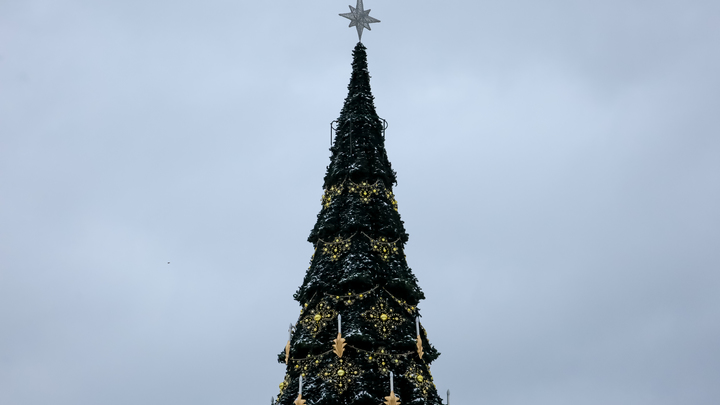 В Геленджике пьяная женщина залезла на символ Нового года — 20-метровую ель