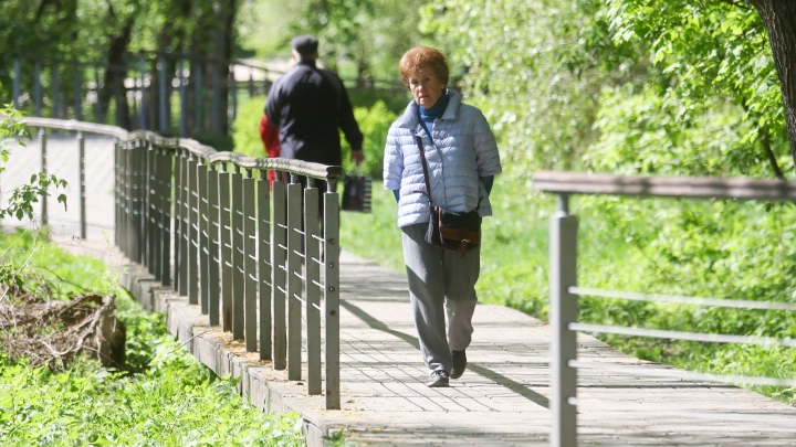 Москвичам рассказали о новых трендах экотуризма