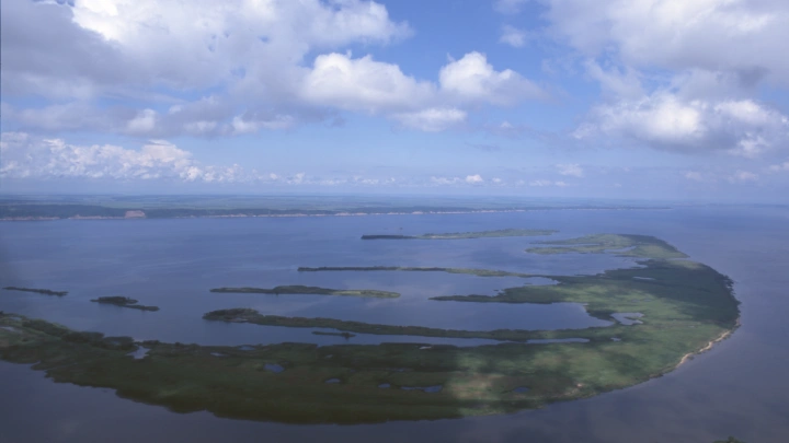 Нет ни течения, ни рыбы: Волга и Дон - катастрофы ещё можно избежать?