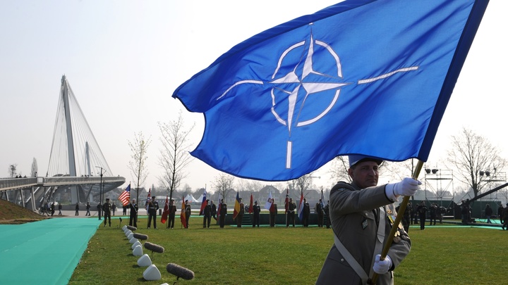 Если у партнёров хватит ума задуматься: Политолог предсказал, чем обернётся несговорчивость НАТО