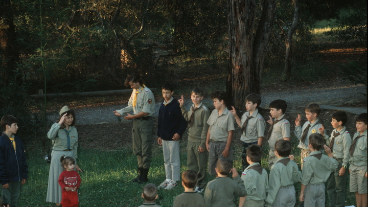 На Запорожье объявили о создании Добровольческой молодежной дружины