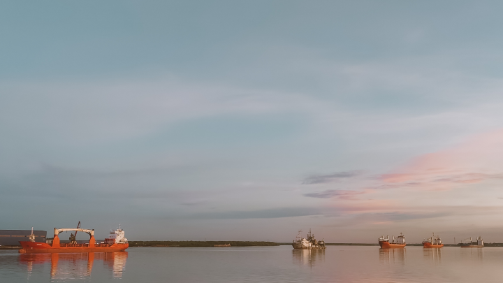 Что случилось с китом у берегов Германии: его пытались спасти 4 дня