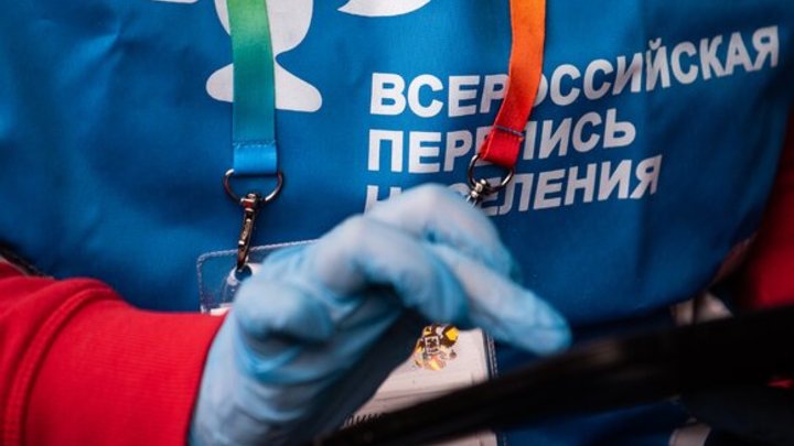 В переписи населения приняли участие более 4,9 млн жителей Краснодарского края