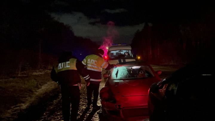 Велосипедист из-за собственной ошибки попал под машину и погиб в Свердловской области